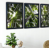 Модульная картина для интерьера размер 99x43 см Бамбуковый лес, фото 5