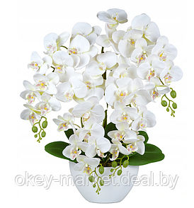 Цветочная композиция из орхидей в горшке 4 ветки D-566