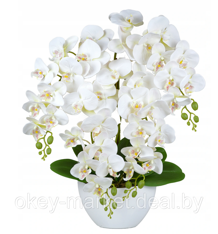 Цветочная композиция из орхидей в горшке 4 ветки D-566 - фото 1 - id-p177937661