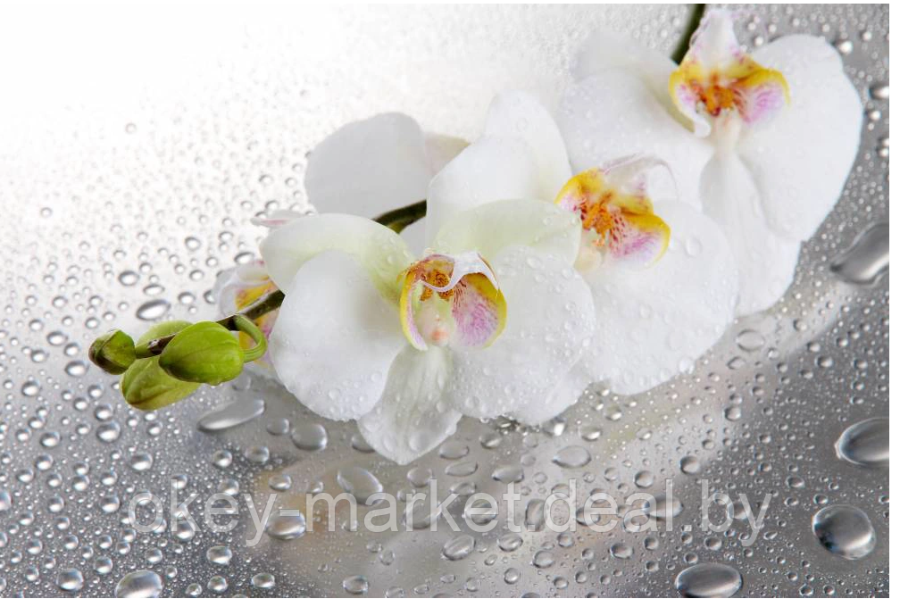 Цветочная композиция из орхидей в горшке 4 ветки D-566 - фото 10 - id-p177937661