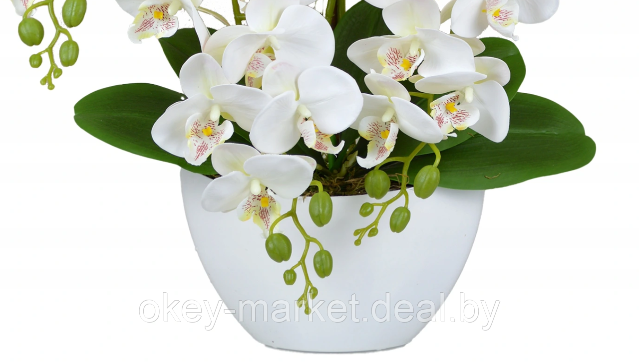 Цветочная композиция из орхидей в горшке 4 ветки D-566 - фото 3 - id-p177937661