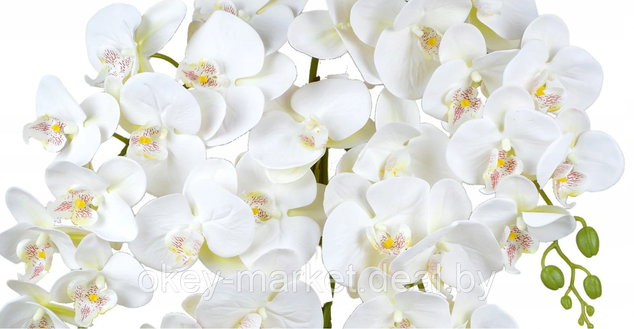 Цветочная композиция из орхидей в горшке 4 ветки D-566 - фото 5 - id-p177937661