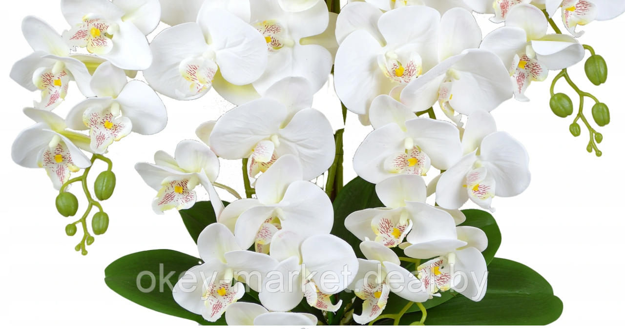 Цветочная композиция из орхидей в горшке 4 ветки D-566 - фото 4 - id-p177937661