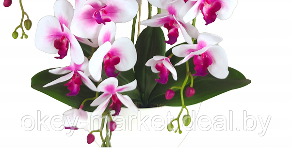 Цветочная композиция из орхидей в горшке 4 ветки D-567, фото 3