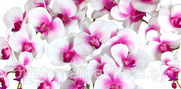 Цветочная композиция из орхидей в горшке 4 ветки D-567, фото 3