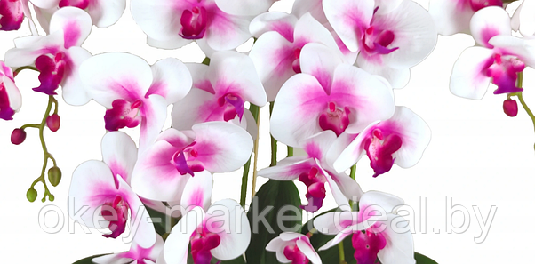 Цветочная композиция из орхидей в горшке 4 ветки D-567, фото 2