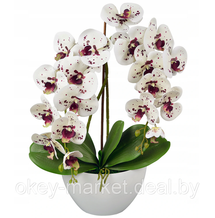 Цветочная композиция из орхидей в горшке 2 ветки D-568 - фото 2 - id-p177937672
