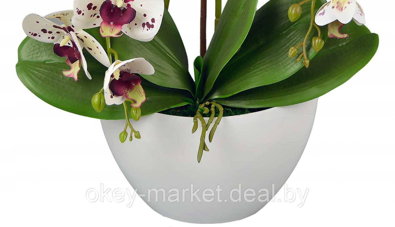 Цветочная композиция из орхидей в горшке 2 ветки D-568 - фото 3 - id-p177937672