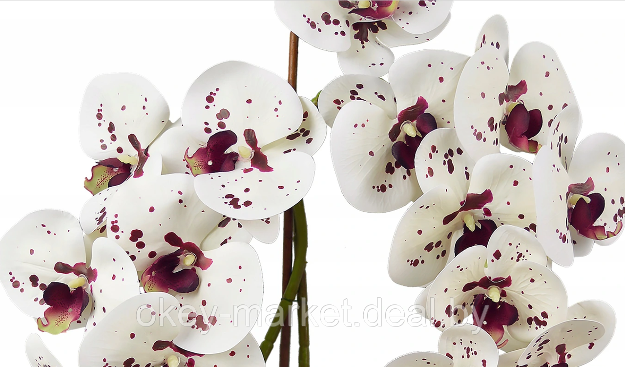 Цветочная композиция из орхидей в горшке 2 ветки D-568 - фото 4 - id-p177937672