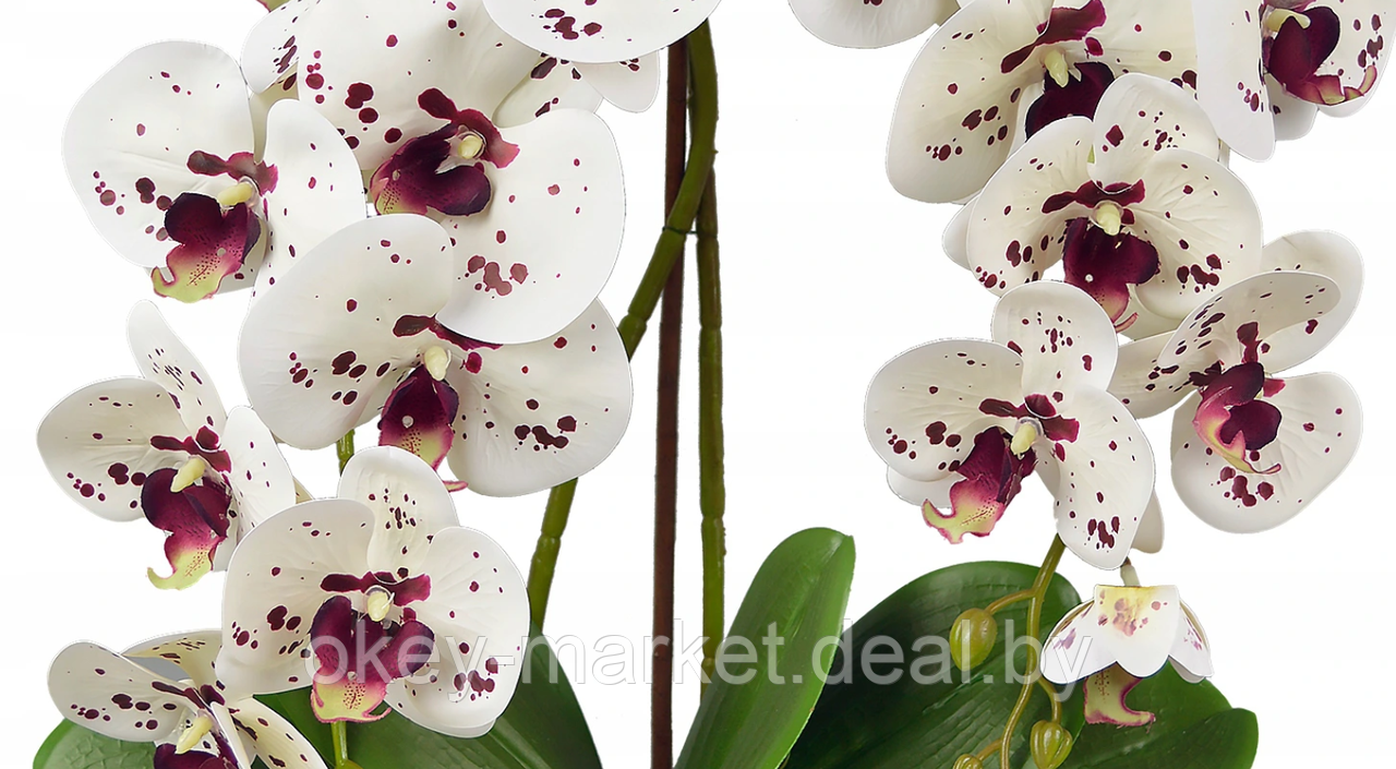 Цветочная композиция из орхидей в горшке 2 ветки D-568 - фото 5 - id-p177937672