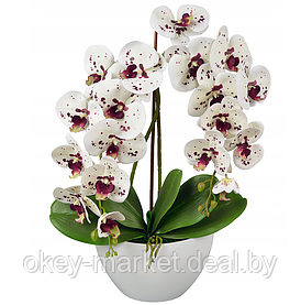 Цветочная композиция из орхидей в горшке 2 ветки D-568