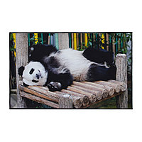 Коврик с фотопечатью "Панда", 50х80
