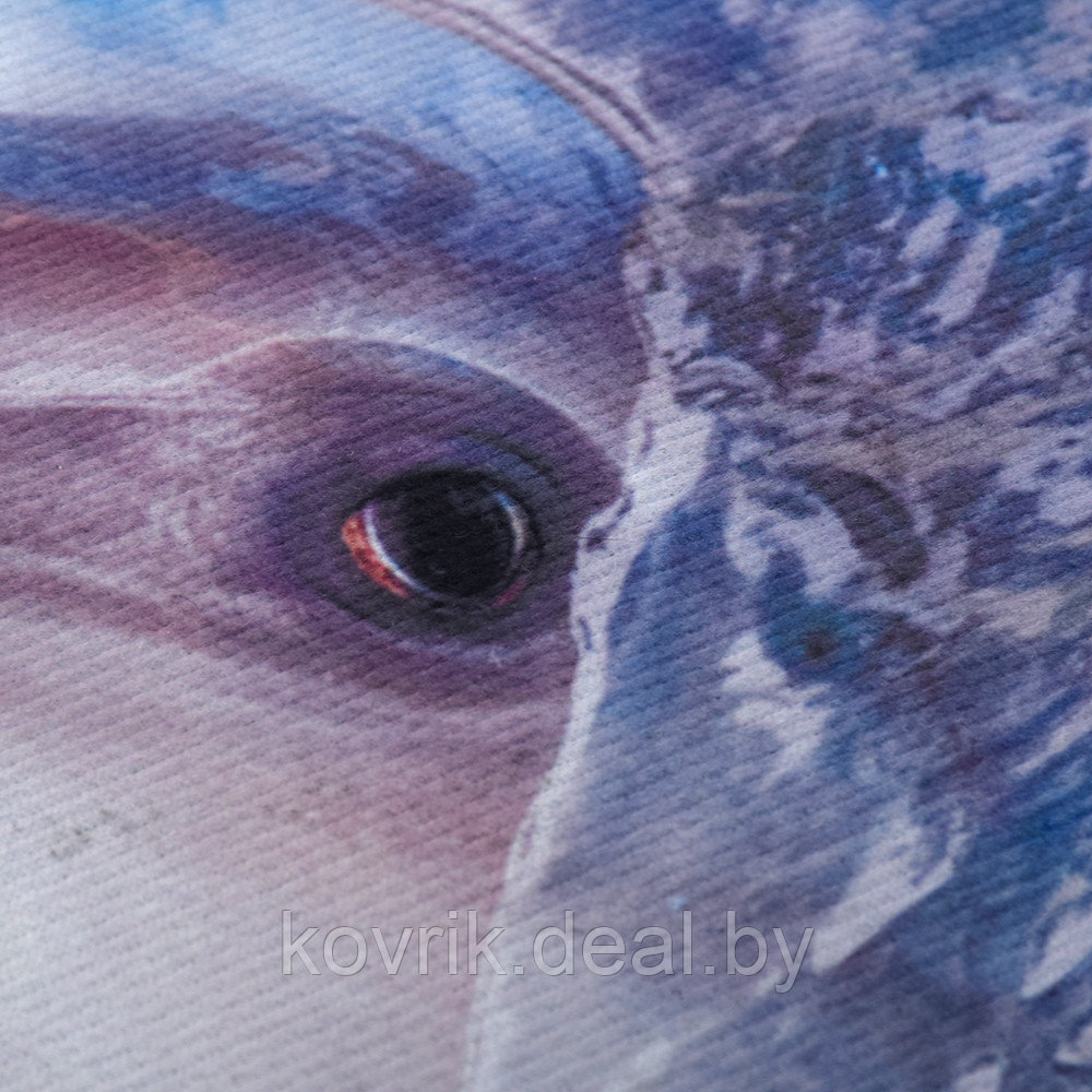 Коврик с фотопечатью "Дельфин" 60х60см - фото 5 - id-p178008931