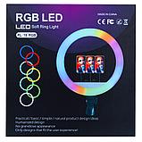 Кольцевая лампа Ring Fill Light RL-18 RGB (45 см) + штатив 2.1м., фото 2