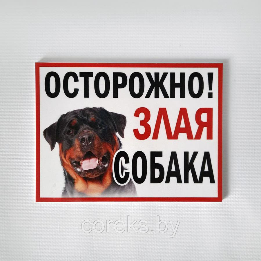 Табличка "Осторожно!Злая собака" №24 (25*15 см) - фото 1 - id-p172322902