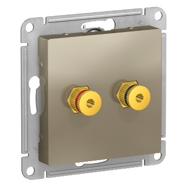 ATN000587 ALASDESIGN аудиорозетка двухместная, шампань