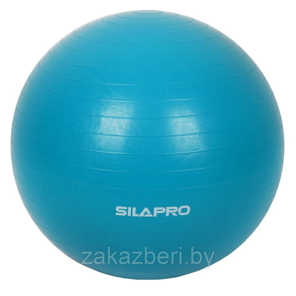 SILAPRO Мяч для фитнеса гимнастический, ПВХ, d 65см, 800г, 4 цвета