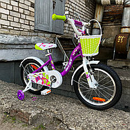 Велосипед детский Детский велосипед AIST Skye 16 фиолетовый, фото 2