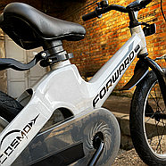 Велосипед детский Forward Cosmo 16 серый, фото 3
