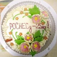 РОСНЕСУ -25 лет!