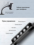 Кольцевая лампа 33 см RGB LED +professional tripod 2,1m + Bluetooth селфи-пульт, фото 4
