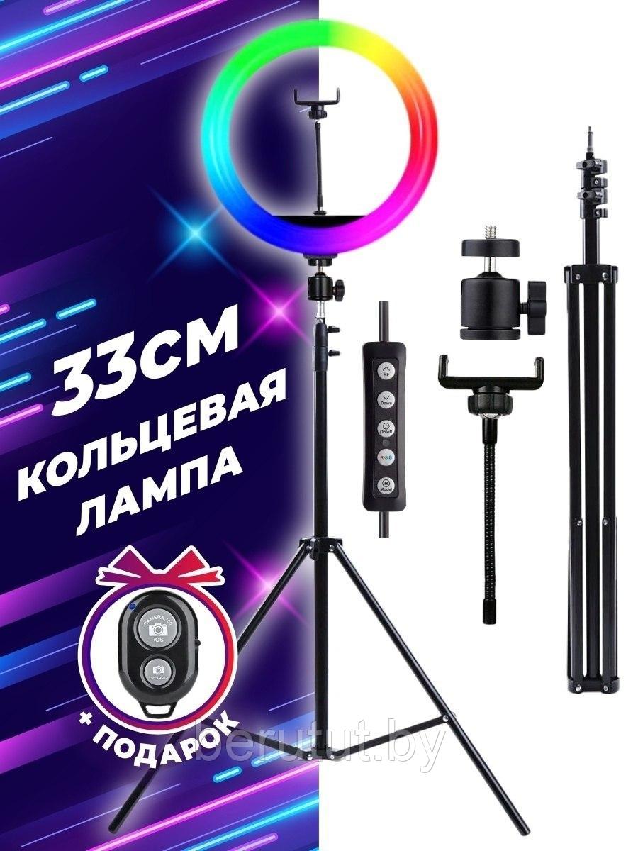 Кольцевая лампа 33 см RGB LED +professional tripod 2,1m + Пульт + Bluetooth селфи-пульт (лампа для селфи) - фото 1 - id-p178302534