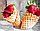 Вафельница Techfood La cialderia cones (круглая), фото 2
