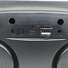 Беспроводная семейная Караоке система SDRD® SD-306 с двумя микрофонами в комплекте, фото 6