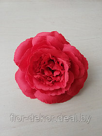 Головка розы пионовидная, красная, d = 11 см.