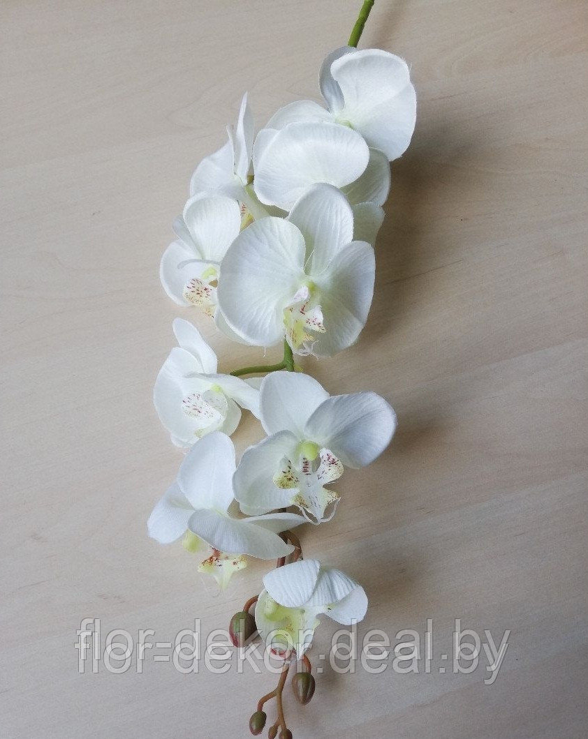 Ветка орхидеи молочно-белая, L= 94см - фото 2 - id-p66270002