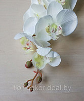 Ветка орхидеи молочно-белая, L= 94см