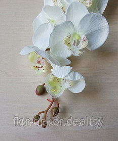 Ветка орхидеи  молочно-белая, L= 94см