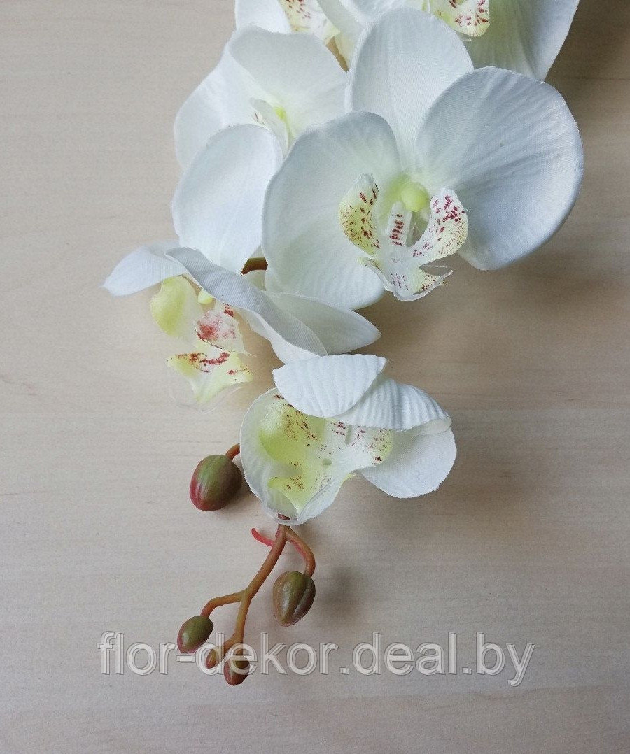 Ветка орхидеи молочно-белая, L= 94см - фото 1 - id-p66270002