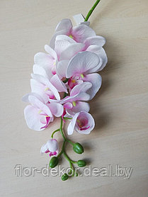Ветка орхидеи бело-розовая, 8 цветов/1бутон, L 102см.