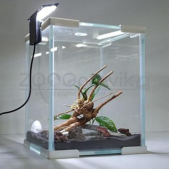 Aqua Phoenix Аквариум Phoenix 10 л. aquascape