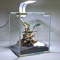 Aqua Phoenix Аквариум Phoenix 18 л. aquascape