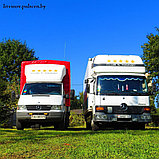 Перевозка грузов с ТЛЦ под таможенным контролем по Беларуси, фото 4
