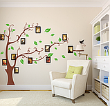 Наклейка на стену «Дерево коричневое с зелеными листиками и с фоторамками XXL», фото 2