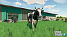 Farming Simulator 22 PC 2 DVD [ RePack ], фото 8