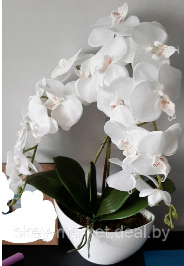 Цветочная композиция из орхидей в горшке 2 ветки D-562 - фото 8 - id-p144876953