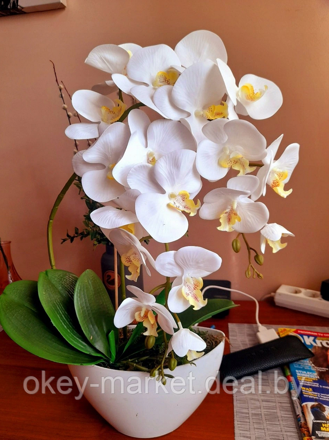 Цветочная композиция из орхидей в горшке 2 ветки D-562 - фото 7 - id-p144876953