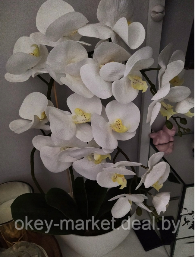 Цветочная композиция из орхидей в горшке 2 ветки D-562 - фото 9 - id-p144876953