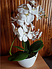 Цветочная композиция из орхидей в горшке 2 ветки D-562, фото 6