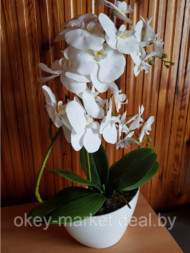 Цветочная композиция из орхидей в горшке 2 ветки D-562 - фото 10 - id-p144876953