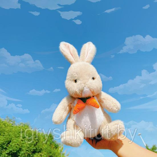 Мягкая игрушка Зайка с морковкой, 3 цвета, 30 см - фото 2 - id-p178567859