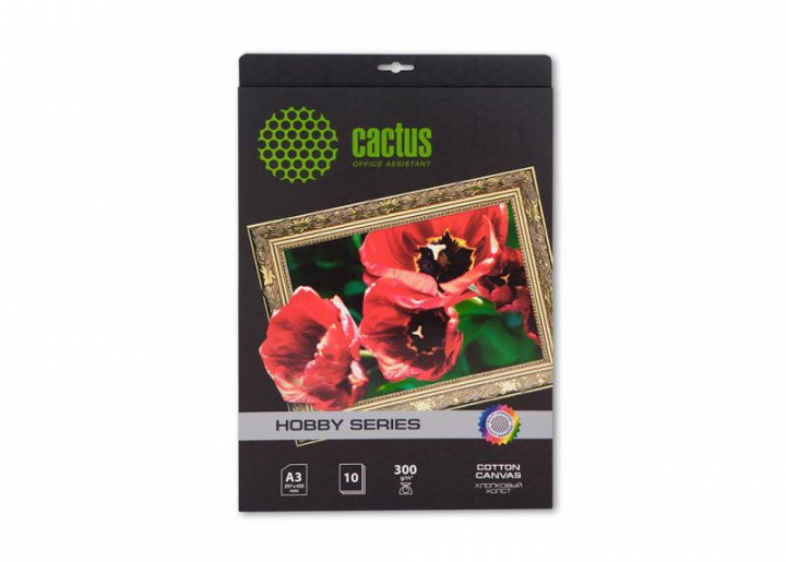 Cactus CS-CA326010 (A3, 10 листов, 300 г/м2) арт бумага, хлопковый холст