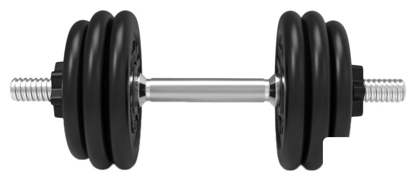 Гантели Central Sport N2 24.5 кг