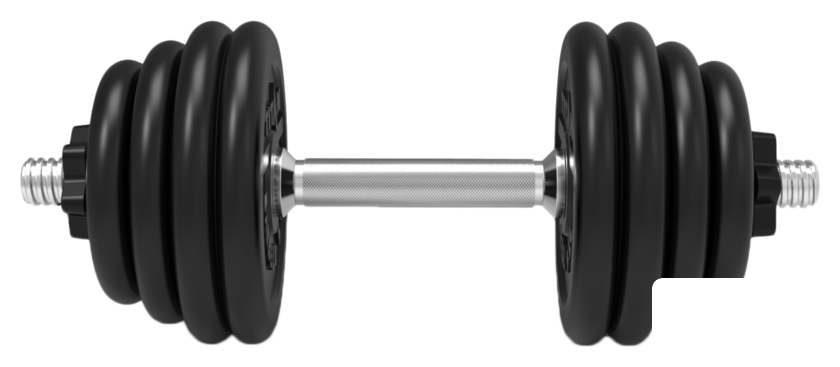 Гантели Central Sport N3 17 кг