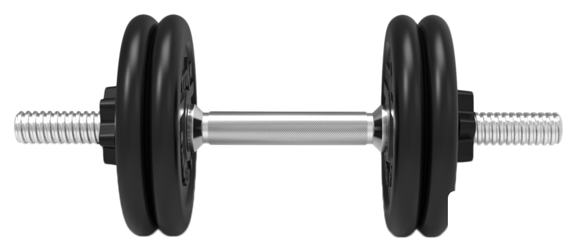 Гантели Central Sport 22 кг