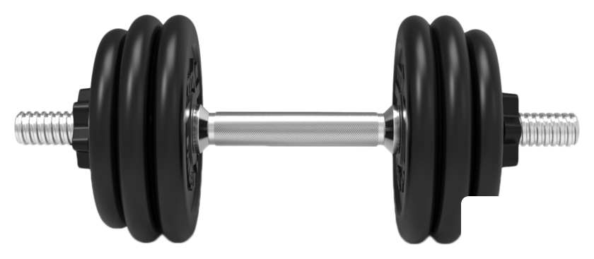 Гантели Central Sport 27 кг